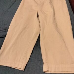 Talbots Tan Wide-Leg Trousers